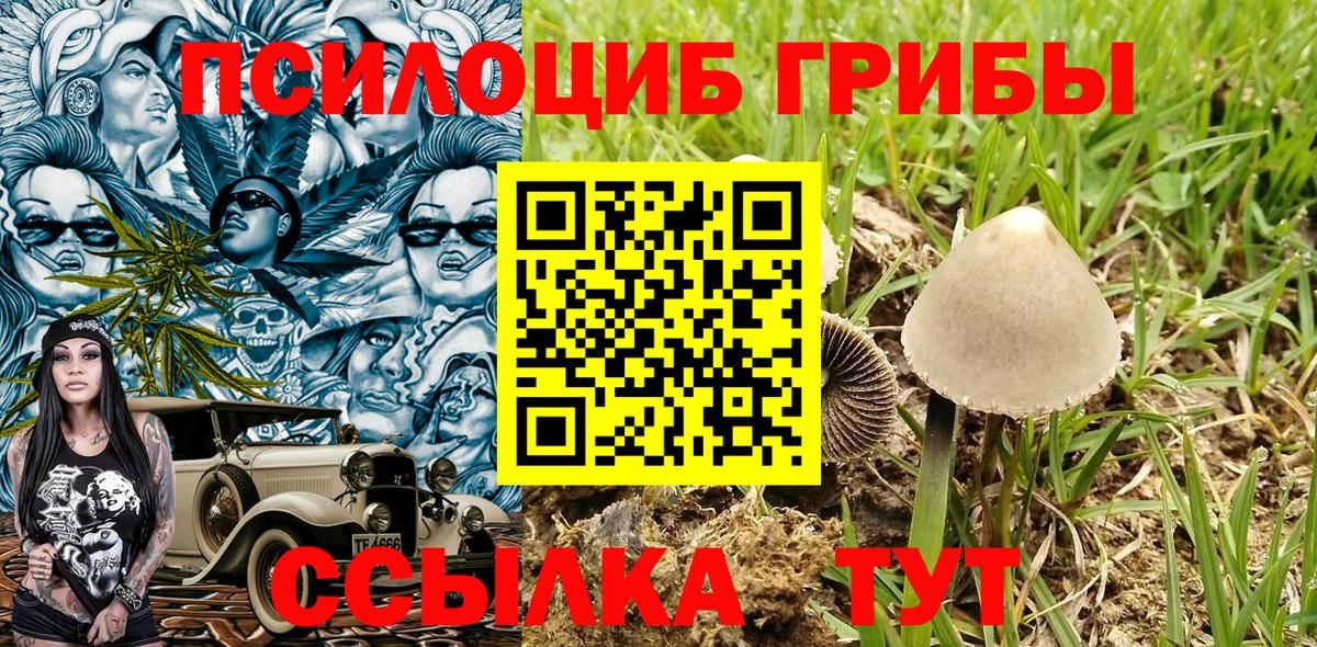 Псилоцибиновые грибы GOLDEN TEACHER Переславль-Залесский